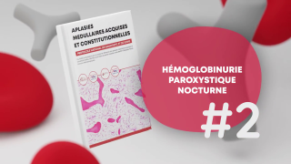 Podcast dédié au PNDS sur l’Hémoglobinurie Paroxystique Nocturne – Pr Régis Peffault de Latour