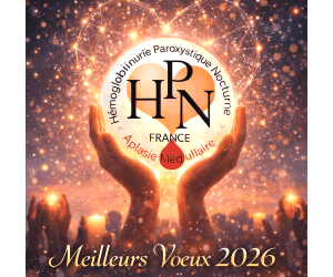 Cap sur 2026 : une année d’engagement, de partage et d’espoir